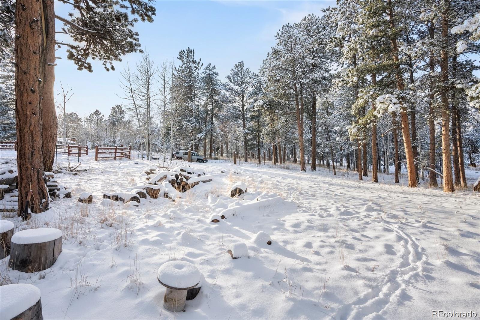 252 Beaver Trail Bailey CO 80421