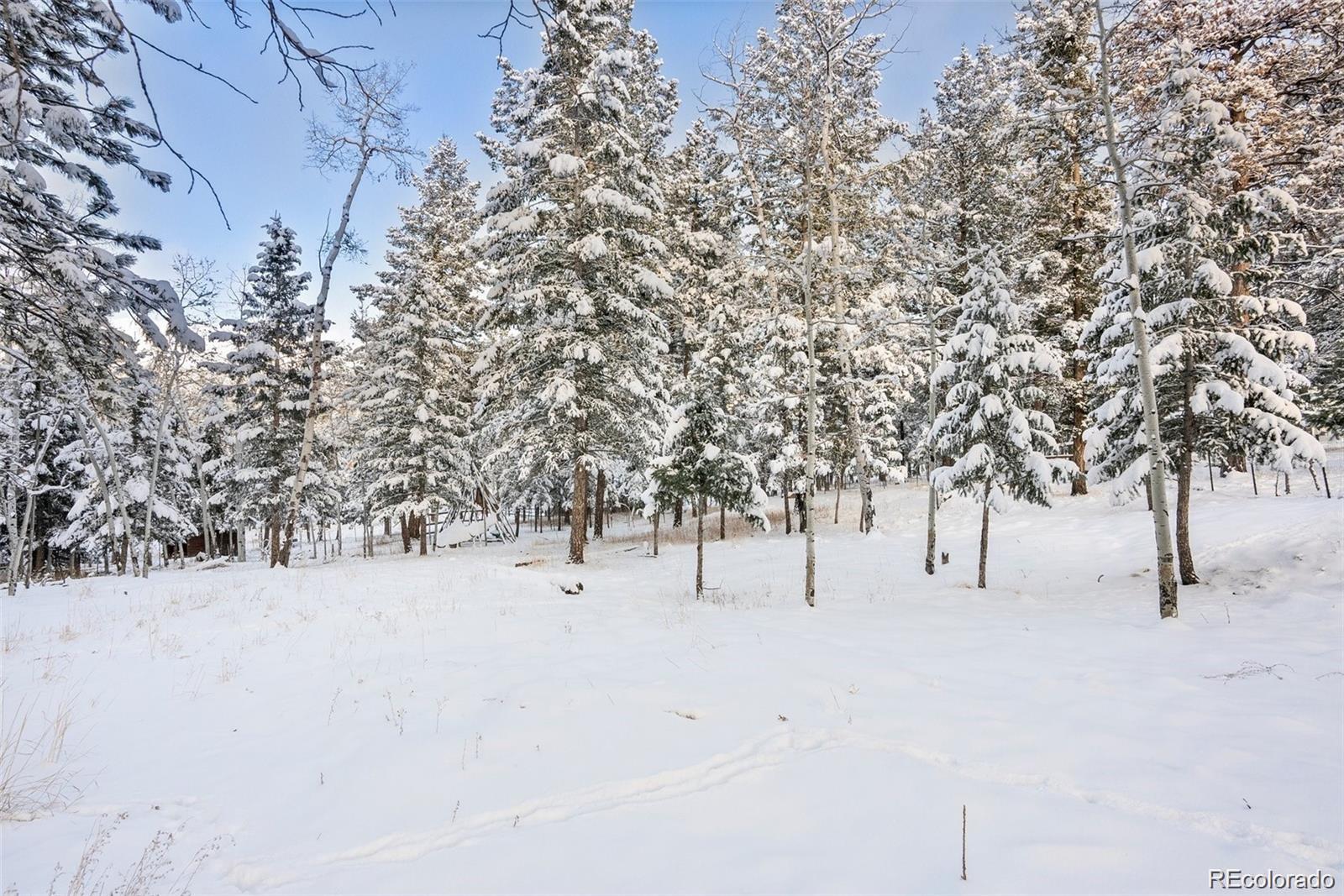 252 Beaver Trail Bailey CO 80421
