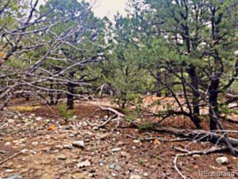 Mill Run Road Mosca CO 81146