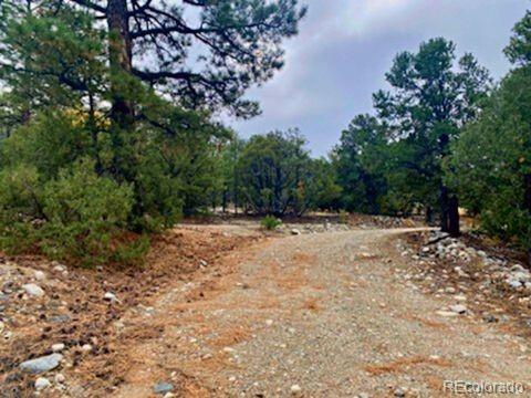 Mill Run Road Mosca CO 81146