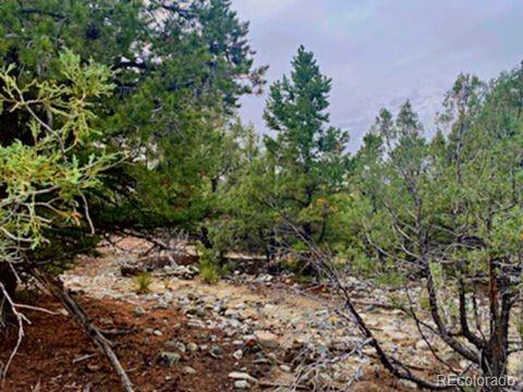 Mill Run Road Mosca CO 81146
