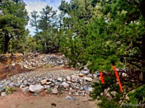 Mill Run Road Mosca CO 81146