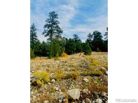 Mill Run Road Mosca CO 81146