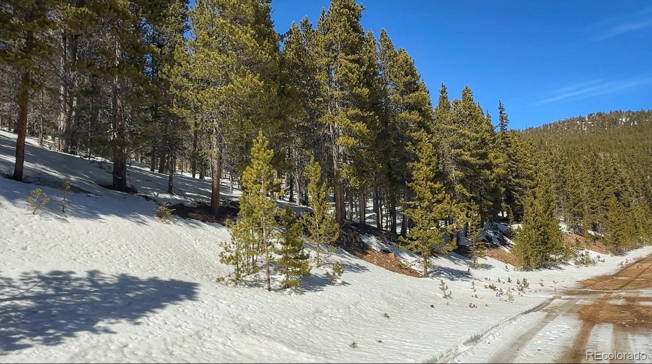 39 Glory Hole Road Idaho Springs CO 80452