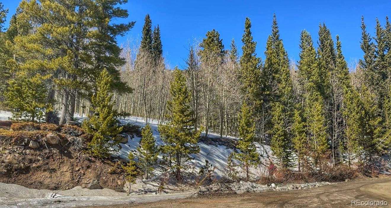39 Glory Hole Road Idaho Springs CO 80452
