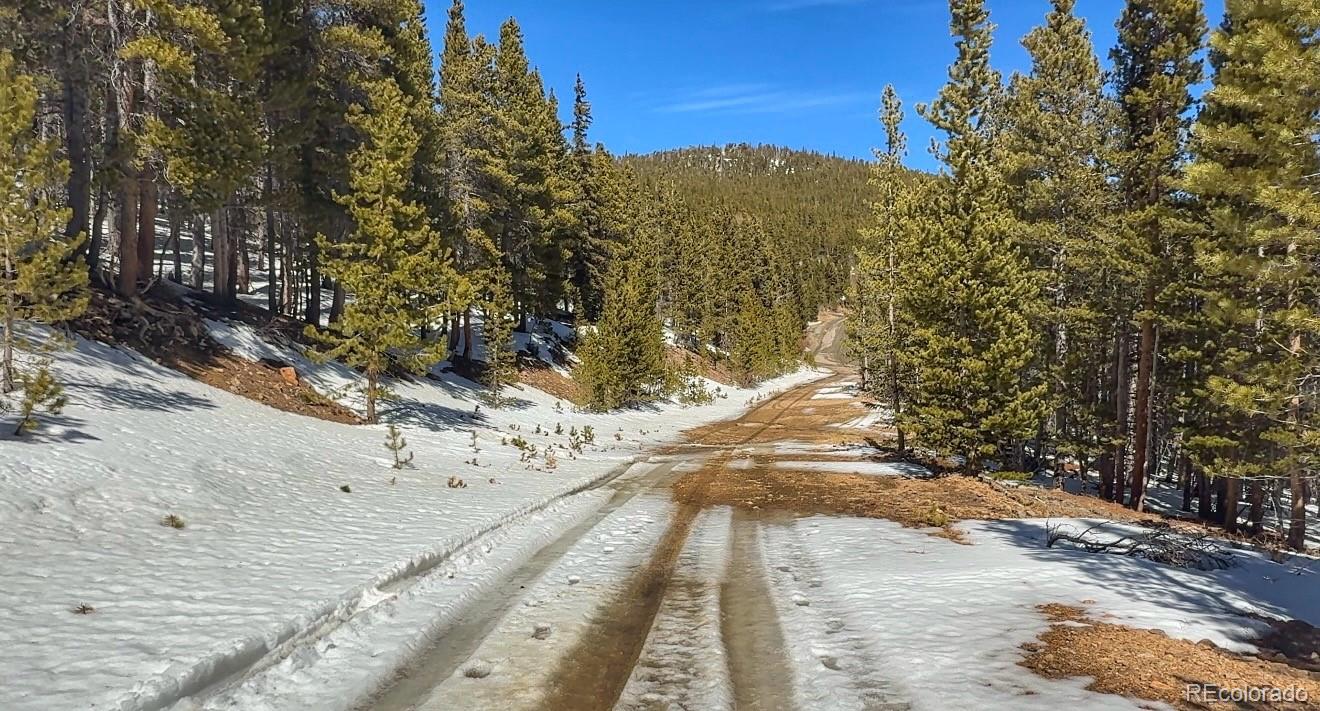 39 Glory Hole Road Idaho Springs CO 80452