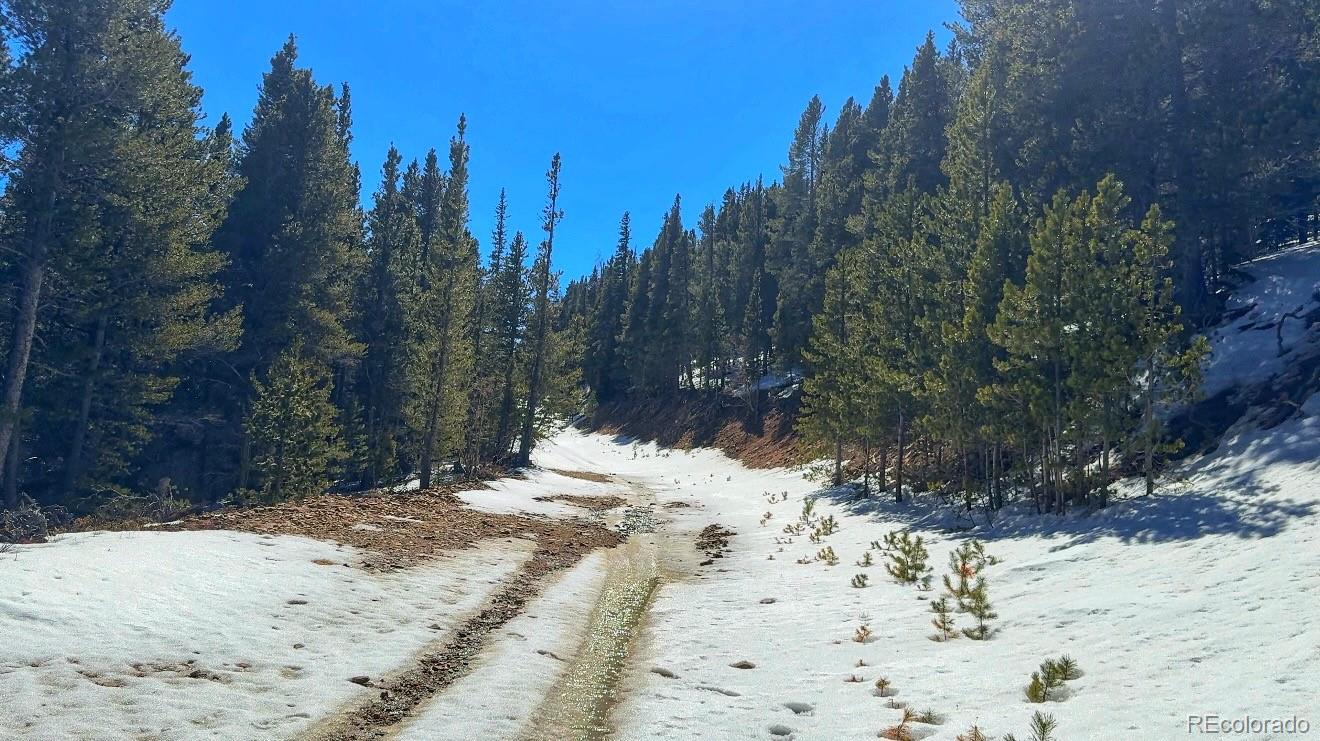 39 Glory Hole Road Idaho Springs CO 80452