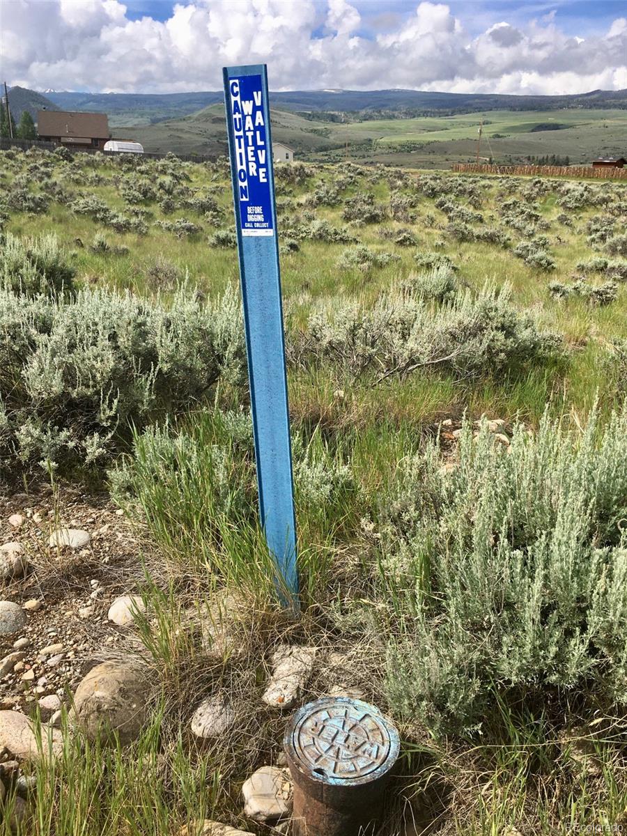 110 County Road 1018 Silverthorne CO 80498