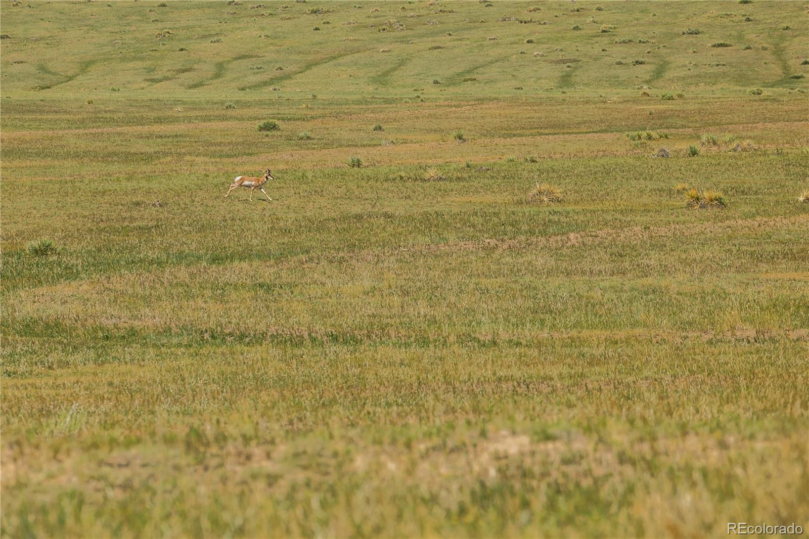 0 Wendling Trail Lot 50 Kiowa CO 80117