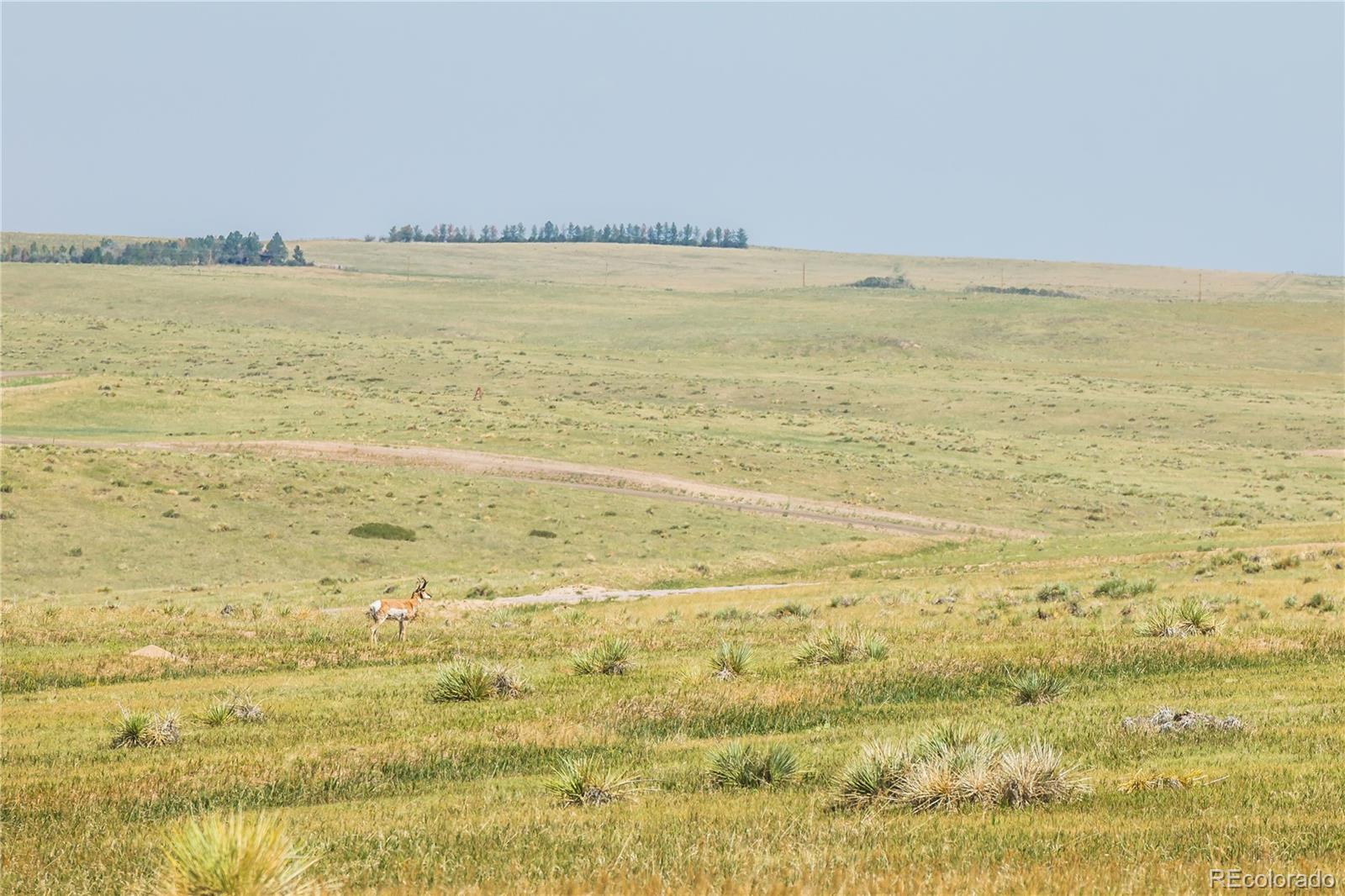 0 Wendling Trail Lot 50 Kiowa CO 80117