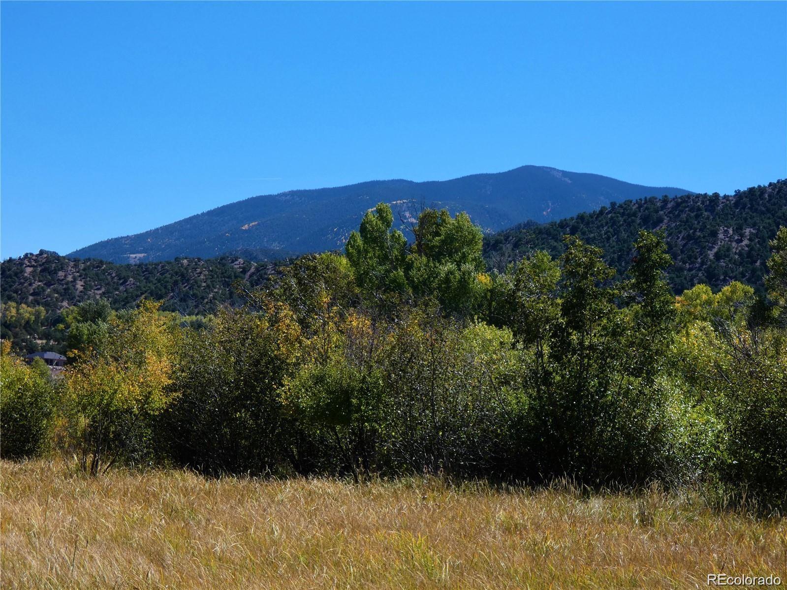 1109 E Ouray Avenue Poncha Springs CO 81242