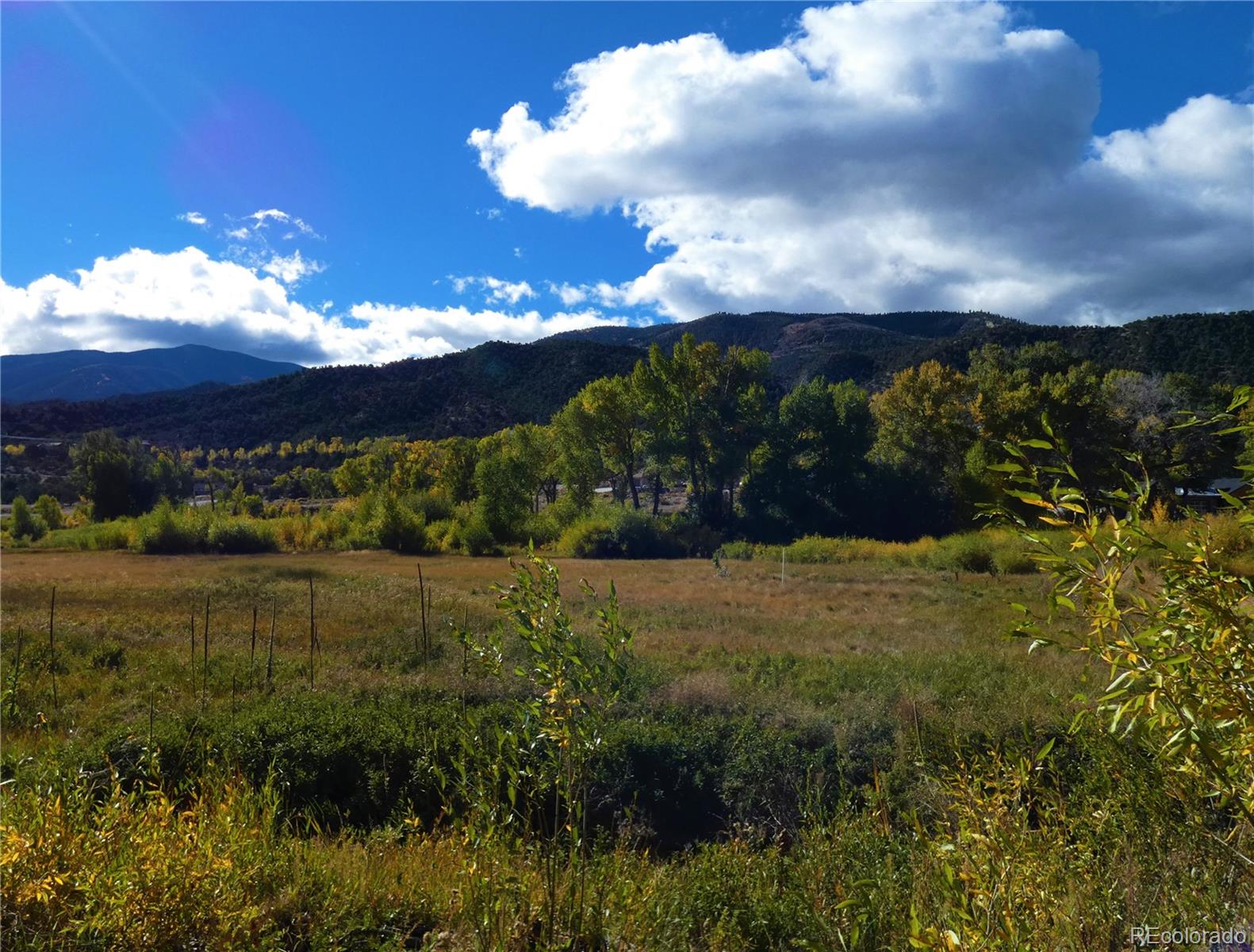 1109 E Ouray Avenue Poncha Springs CO 81242