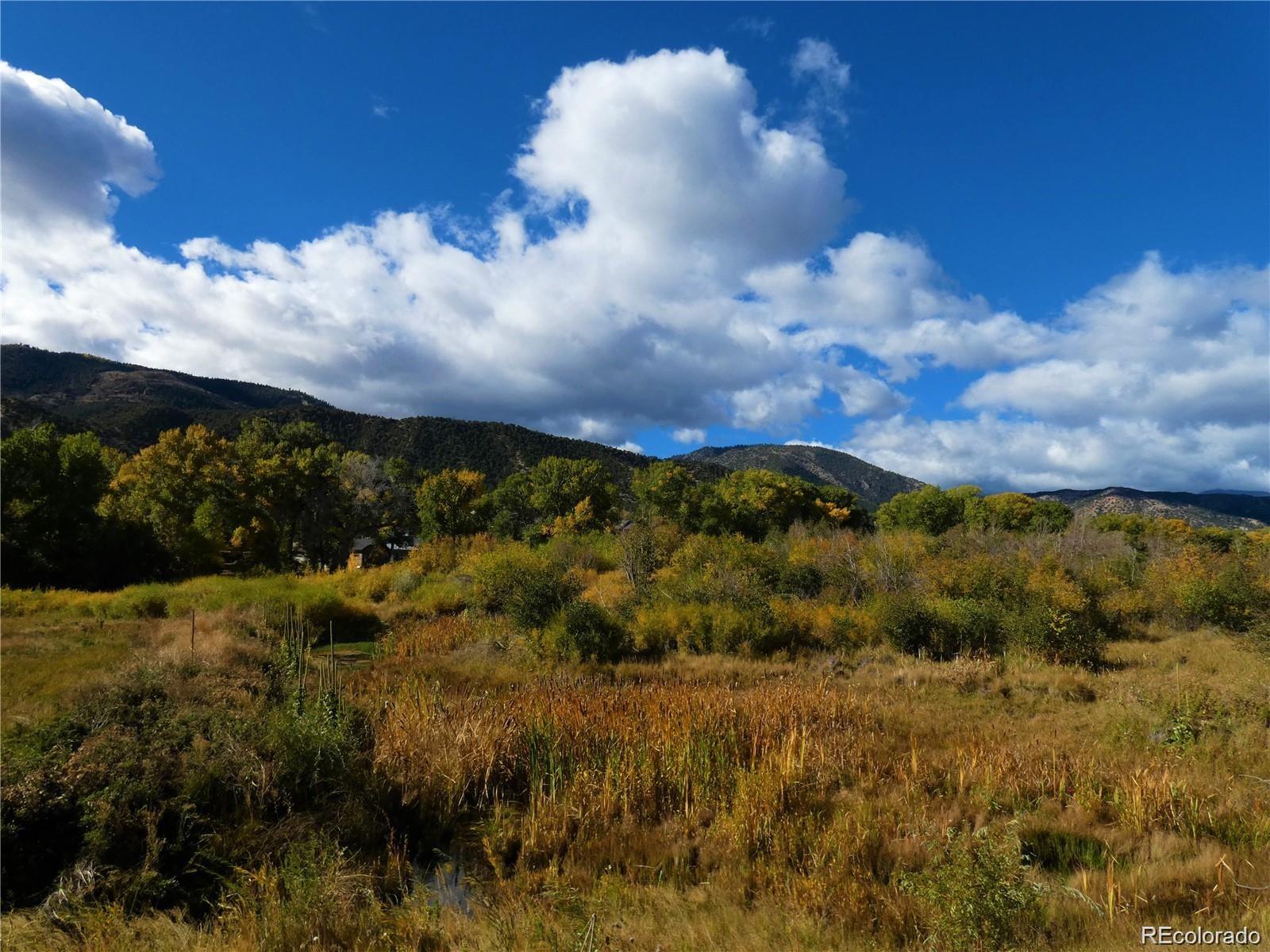 1109 E Ouray Avenue Poncha Springs CO 81242
