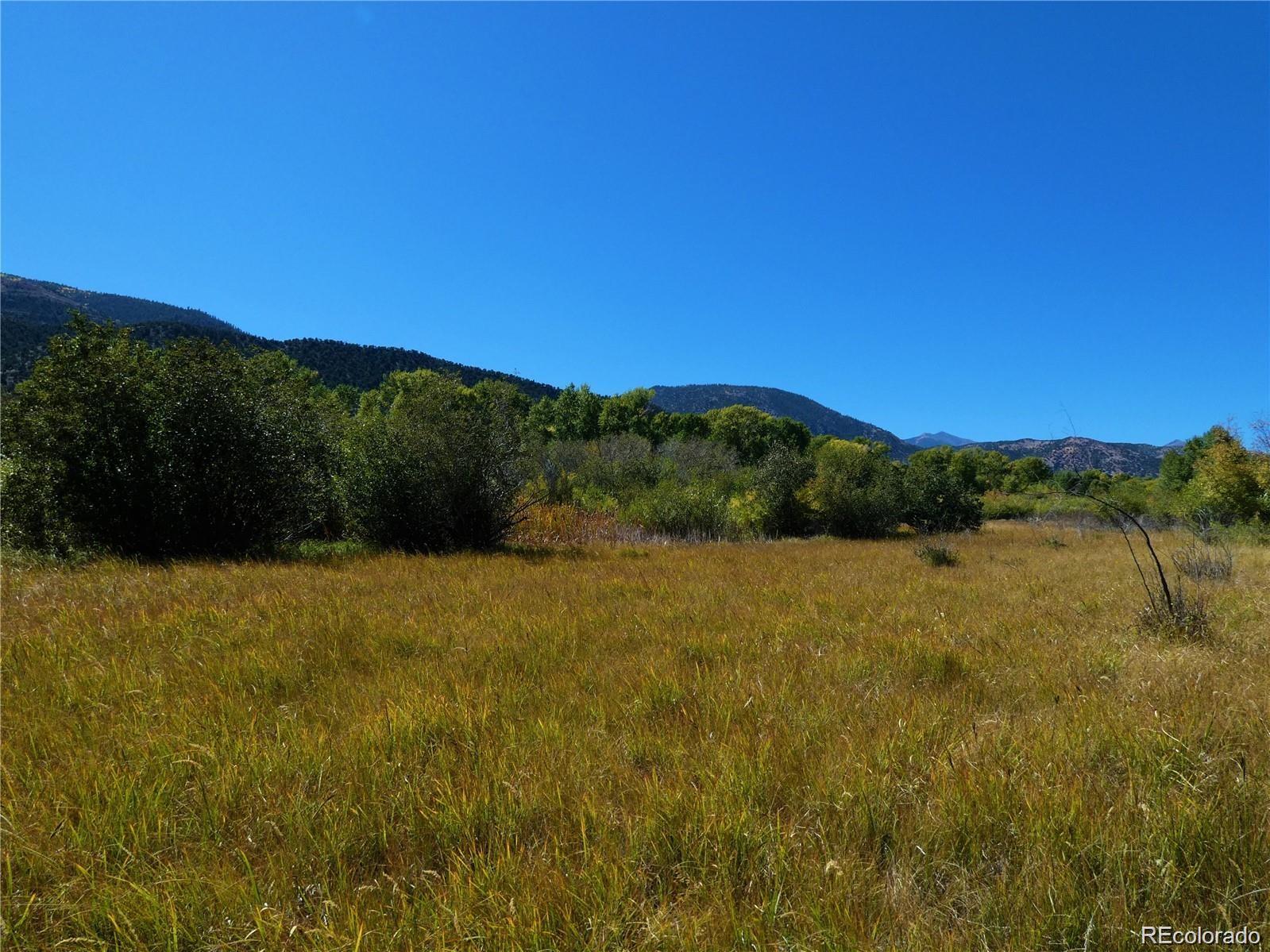 1109 E Ouray Avenue Poncha Springs CO 81242