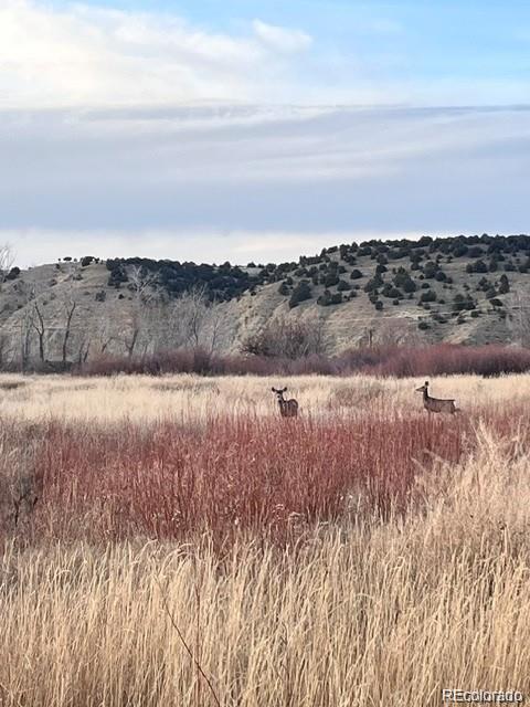41008 County Road 5 Meeker CO 81641