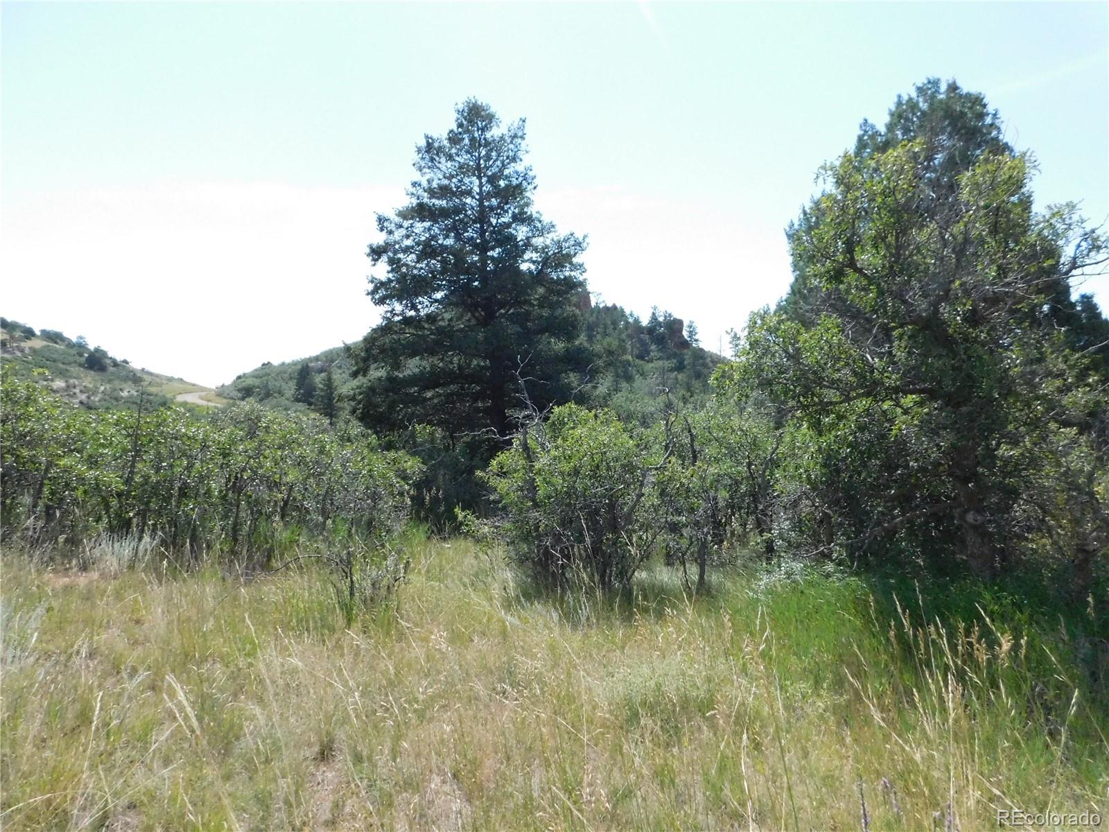5967 Country Club Drive Larkspur CO 80118
