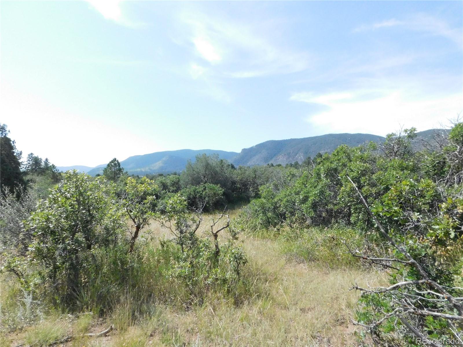 5967 Country Club Drive Larkspur CO 80118