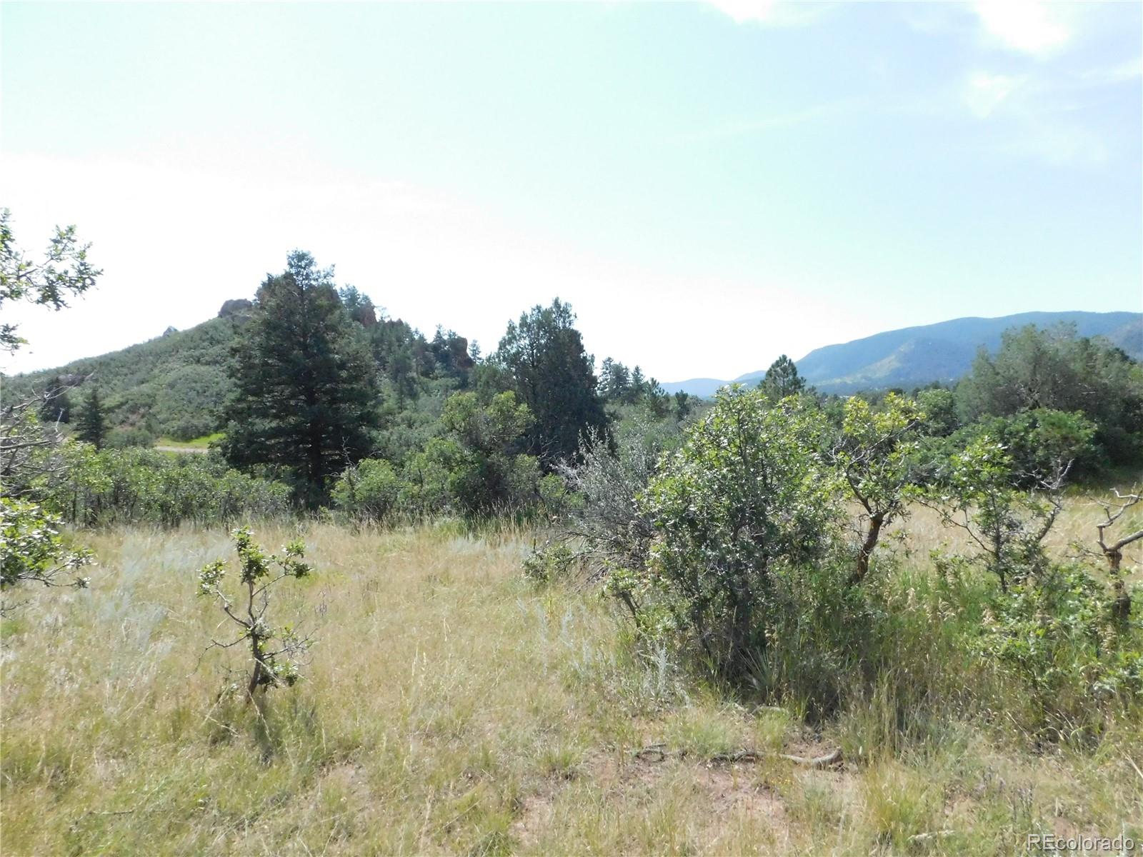 5967 Country Club Drive Larkspur CO 80118