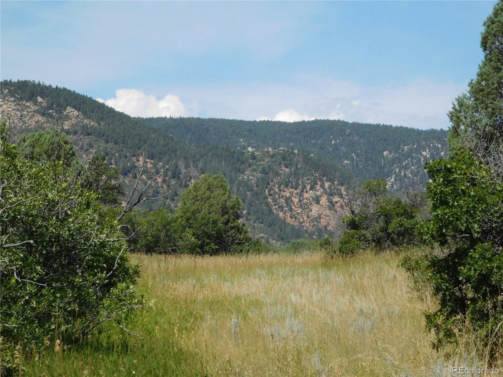 5967 Country Club Drive Larkspur CO 80118