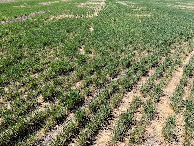 Tbd County Road 19 Fort Lupton CO 80621