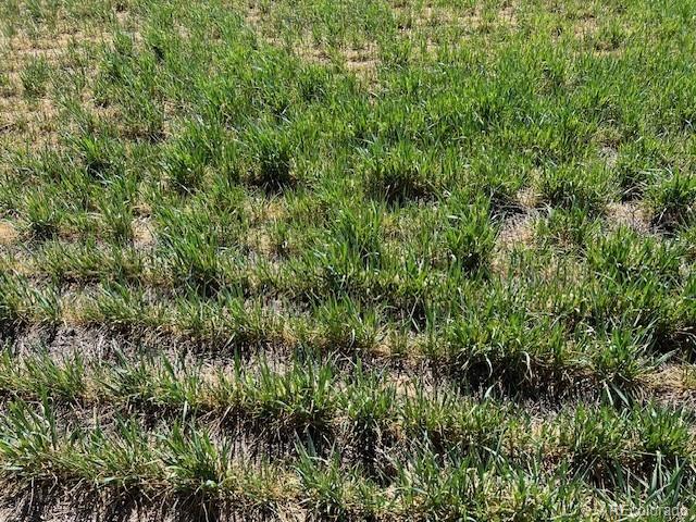Tbd County Road 19 Fort Lupton CO 80621