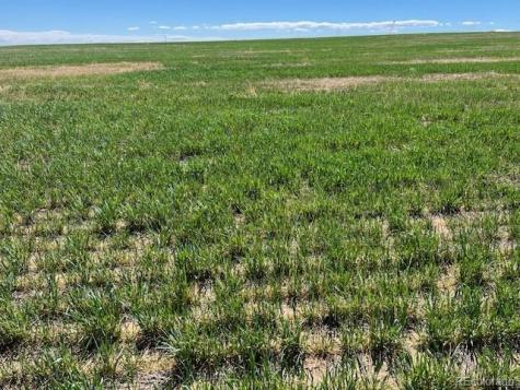 Tbd County Road 19 Fort Lupton CO 80621