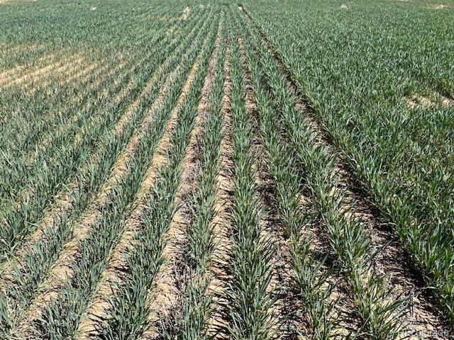 Tbd County Road 19 Fort Lupton CO 80621