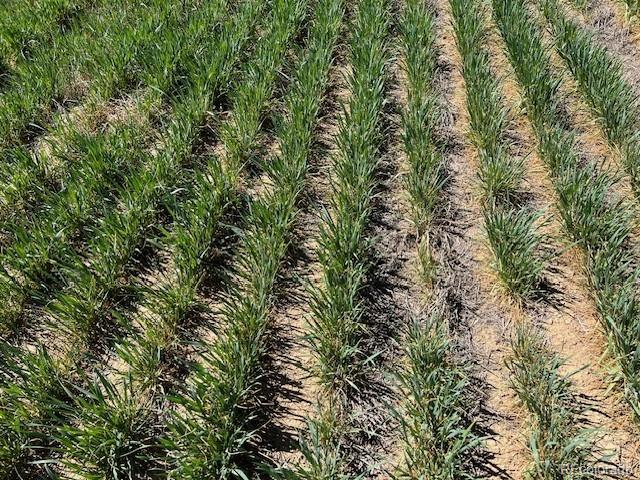 Tbd County Road 19 Fort Lupton CO 80621