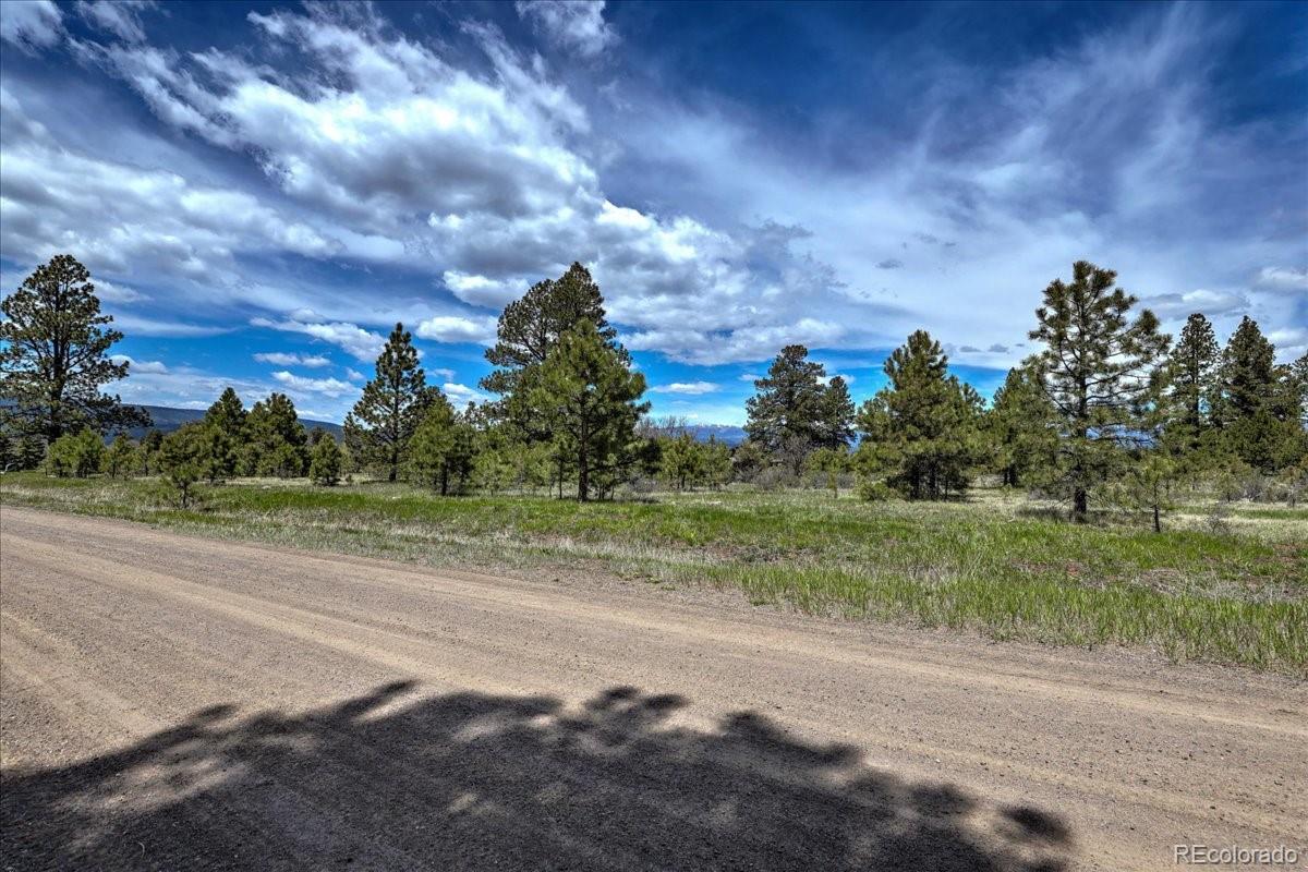 773 Jacobson Circle Pagosa Springs CO 81147