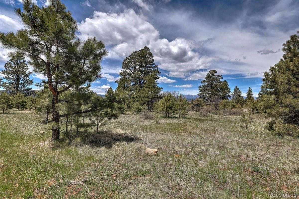 773 Jacobson Circle Pagosa Springs CO 81147