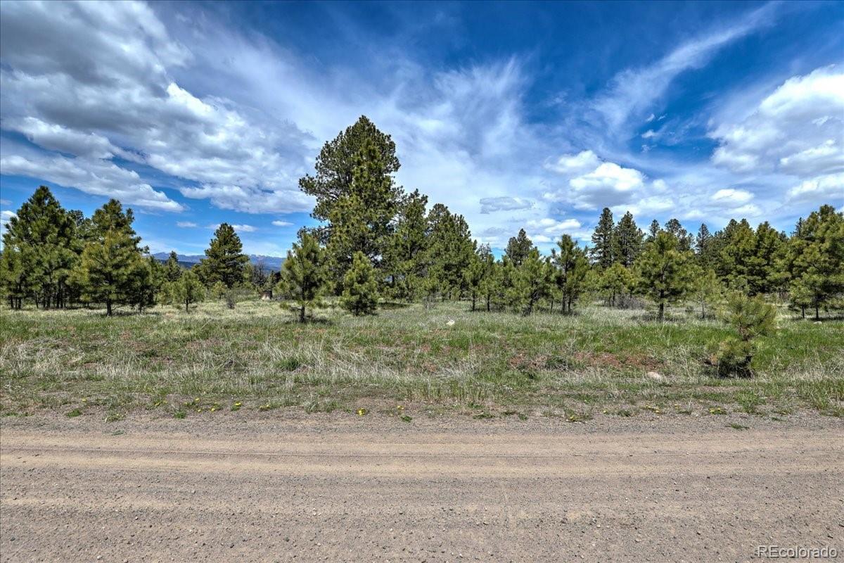 773 Jacobson Circle Pagosa Springs CO 81147