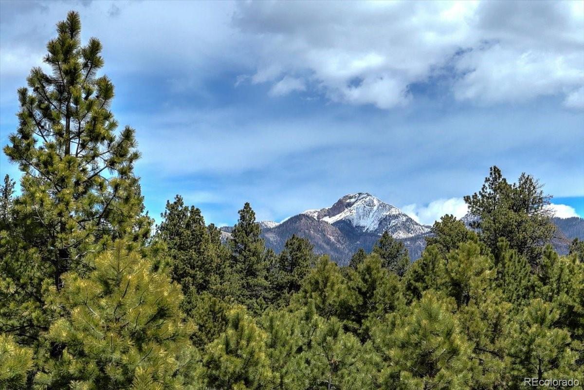 773 Jacobson Circle Pagosa Springs CO 81147