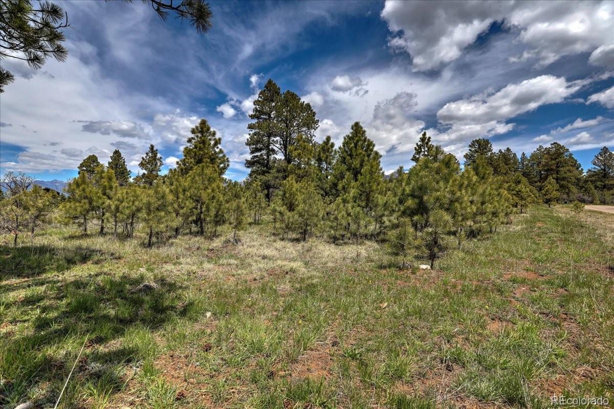 773 Jacobson Circle Pagosa Springs CO 81147