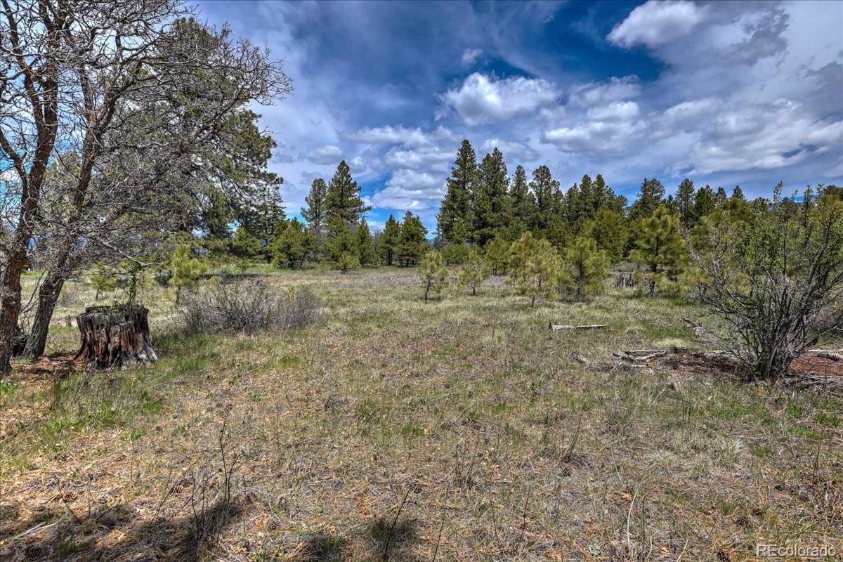 773 Jacobson Circle Pagosa Springs CO 81147