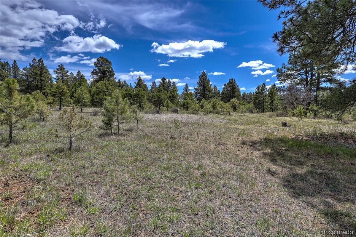 773 Jacobson Circle Pagosa Springs CO 81147