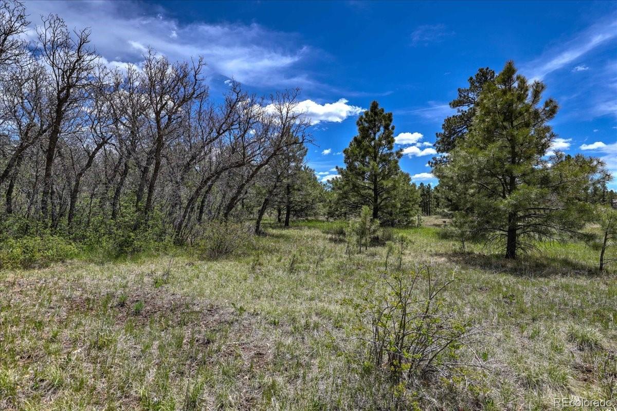 773 Jacobson Circle Pagosa Springs CO 81147
