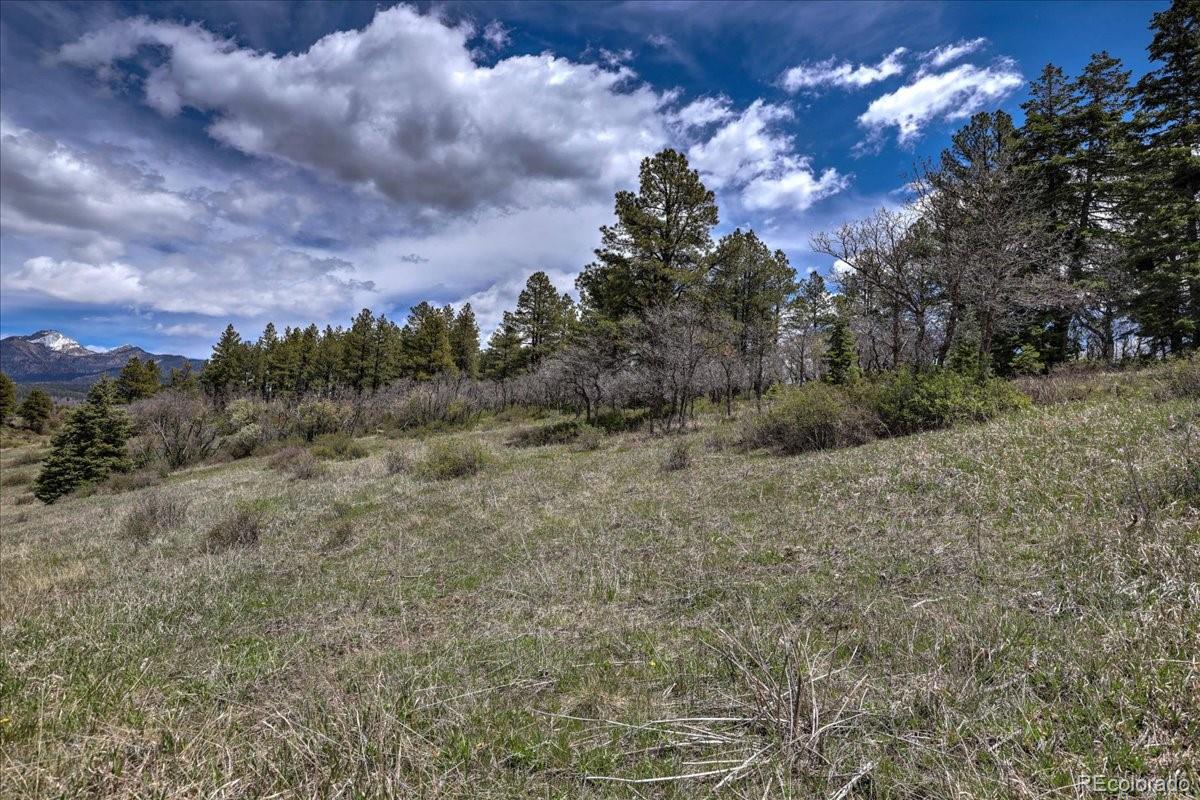 773 Jacobson Circle Pagosa Springs CO 81147