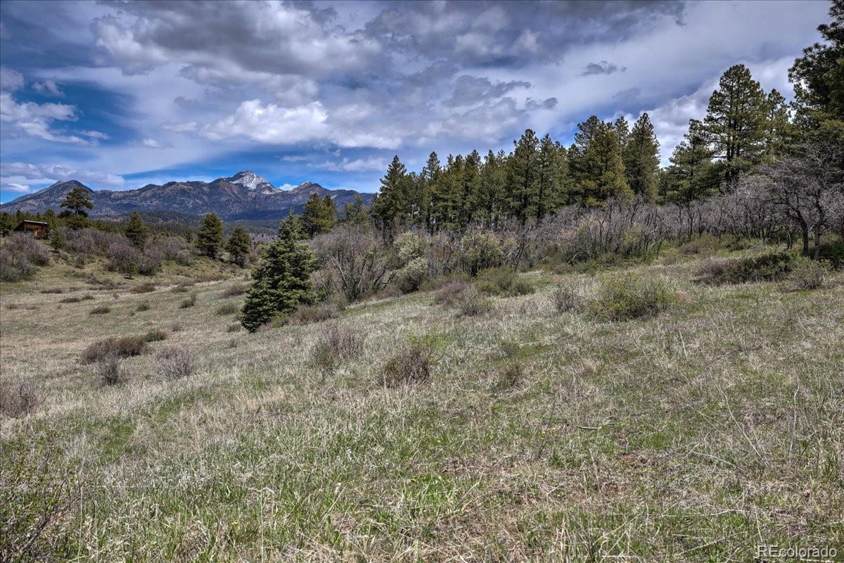 773 Jacobson Circle Pagosa Springs CO 81147