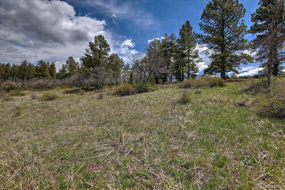 773 Jacobson Circle Pagosa Springs CO 81147