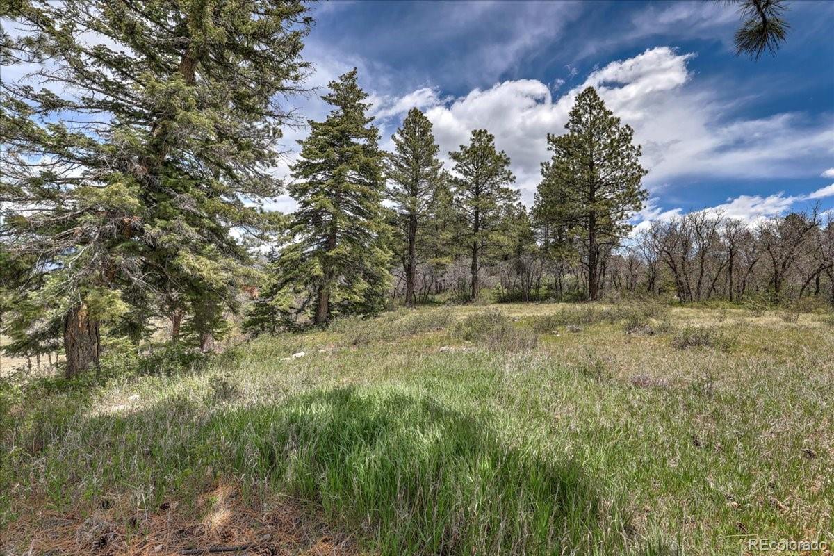 773 Jacobson Circle Pagosa Springs CO 81147