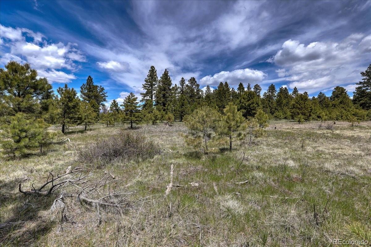 773 Jacobson Circle Pagosa Springs CO 81147