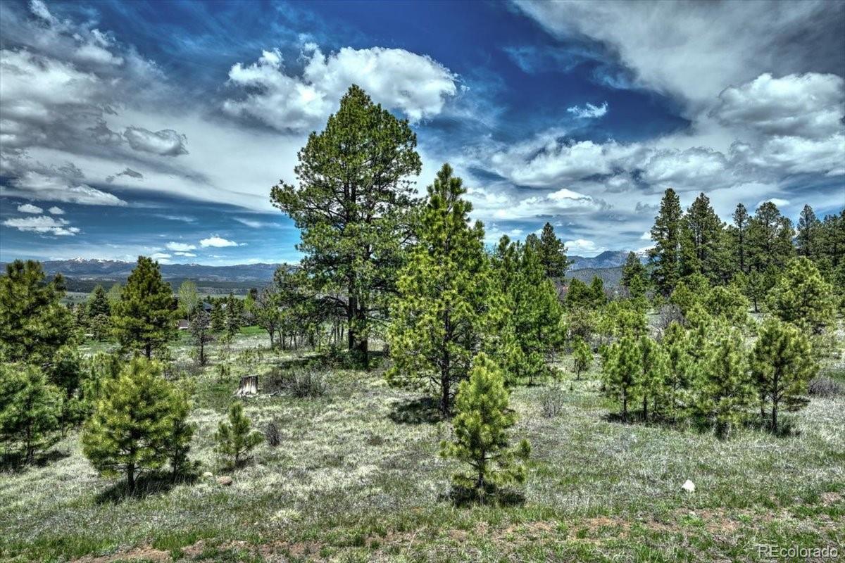 773 Jacobson Circle Pagosa Springs CO 81147