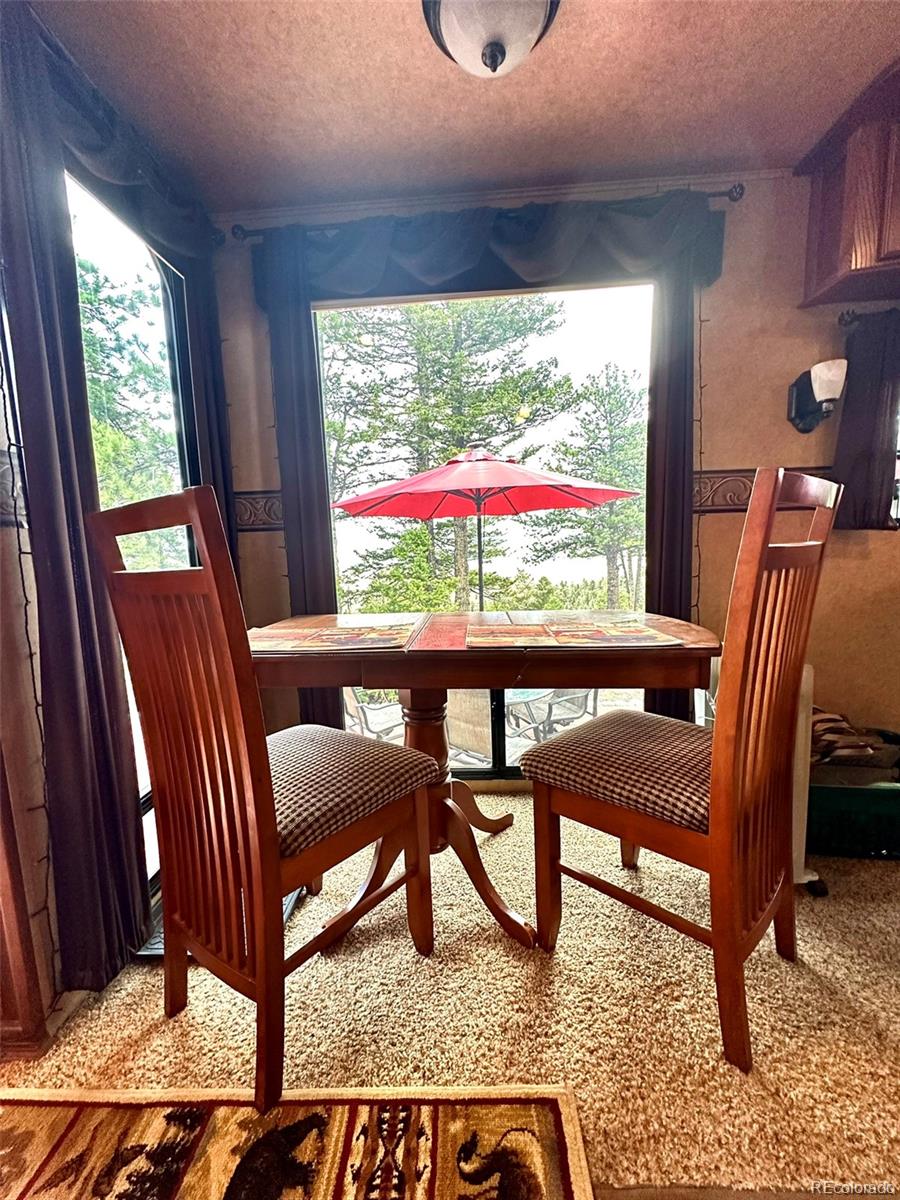 65 Spike Way Hartsel CO 80449