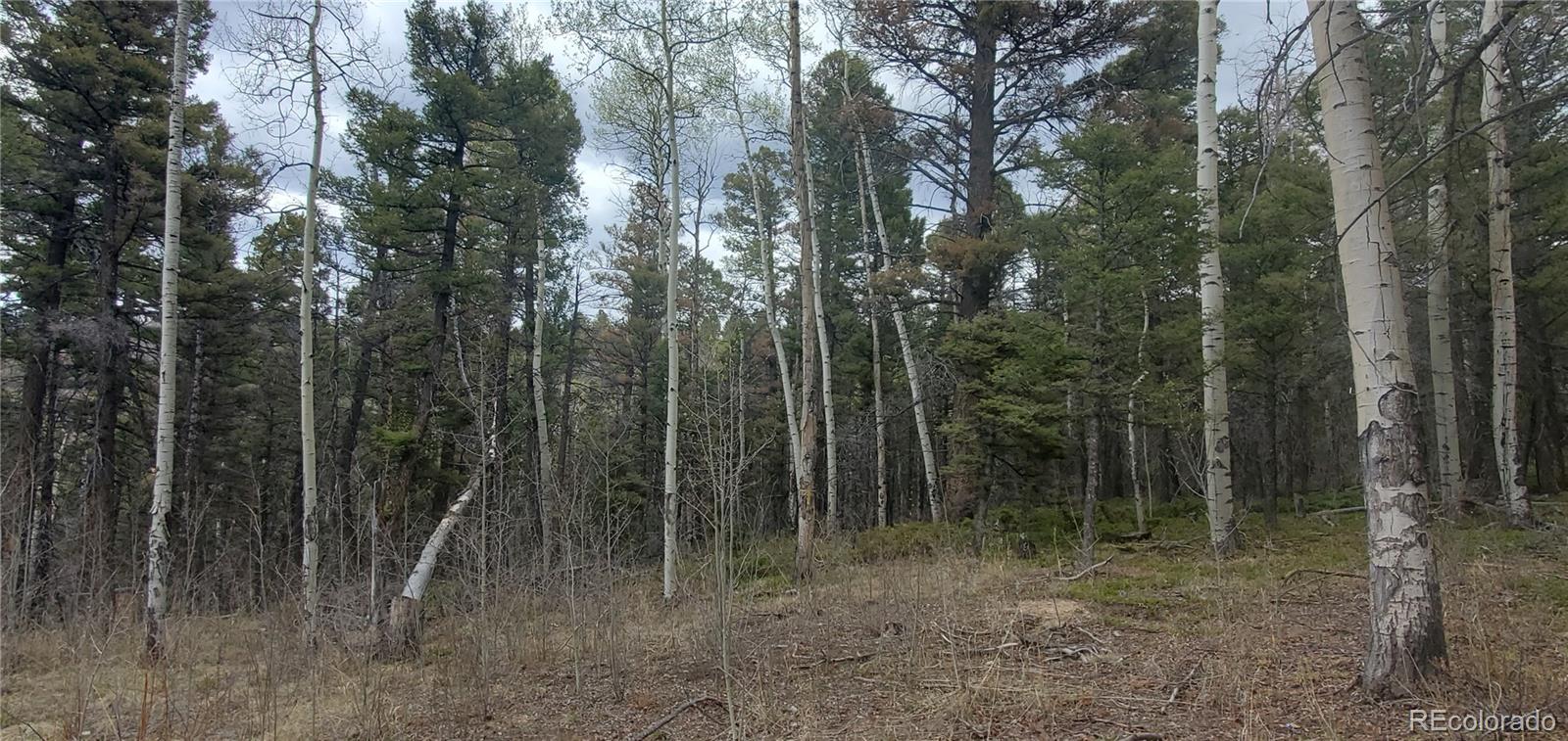 Lot 6090 Vreeland Road San Luis CO 81152