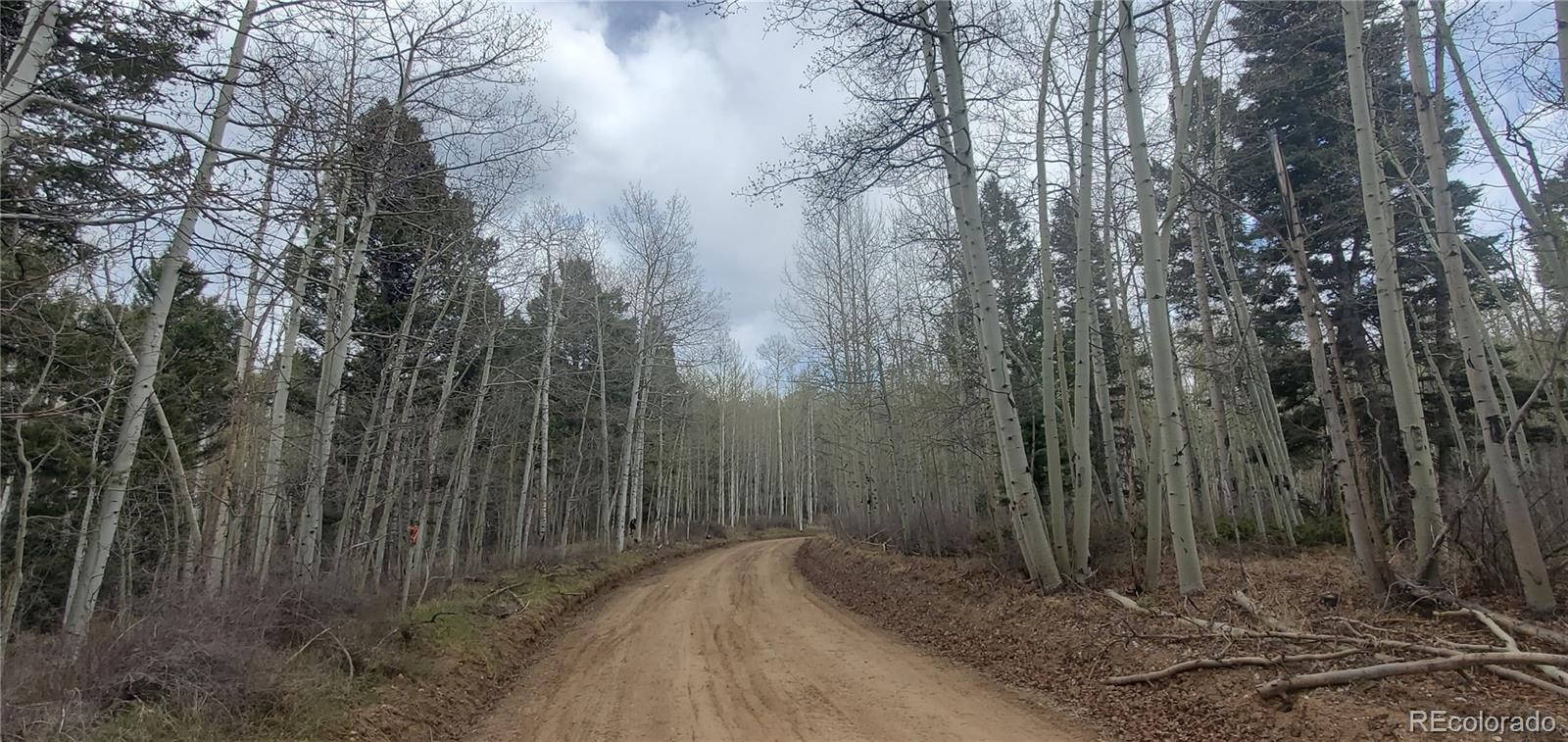 Lot 6090 Vreeland Road San Luis CO 81152