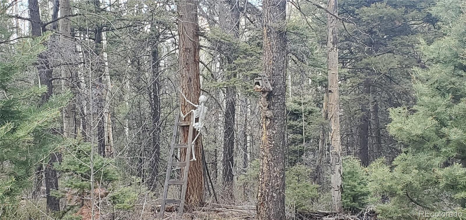 Lot 6090 Vreeland Road San Luis CO 81152