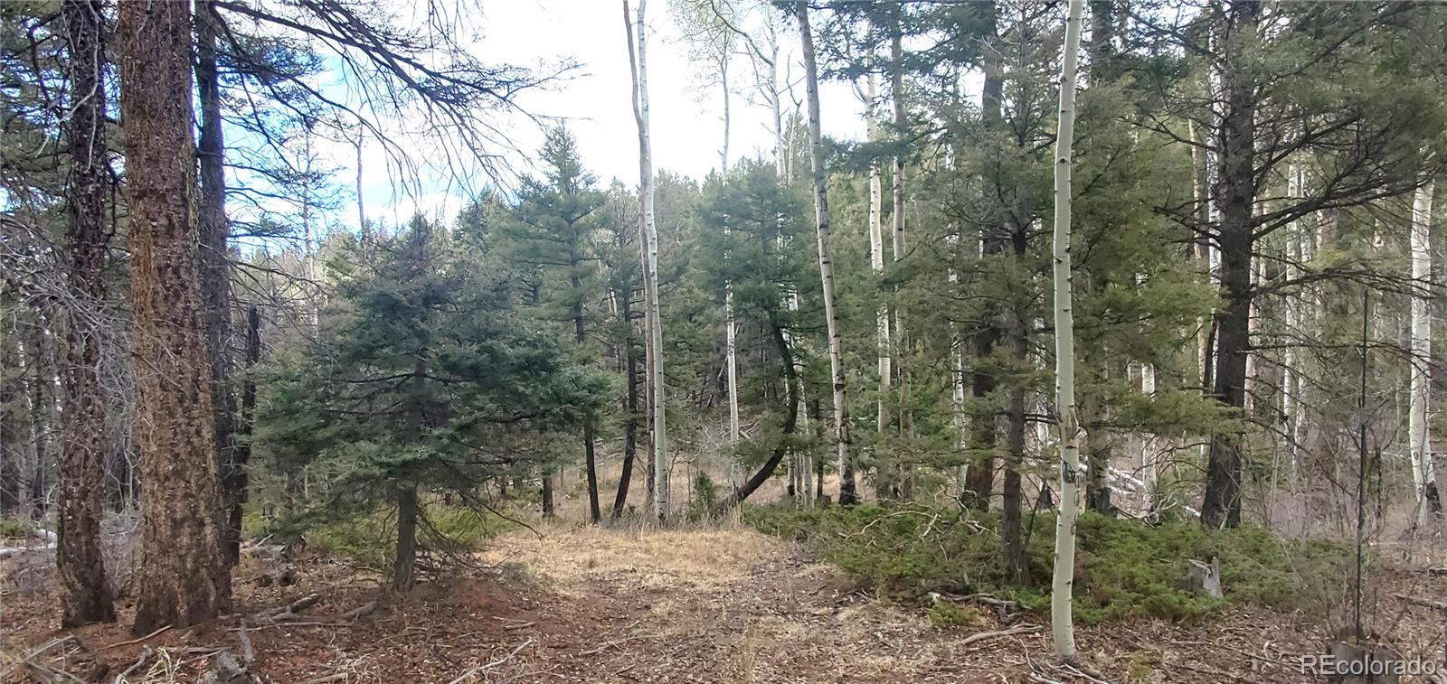 Lot 6090 Vreeland Road San Luis CO 81152