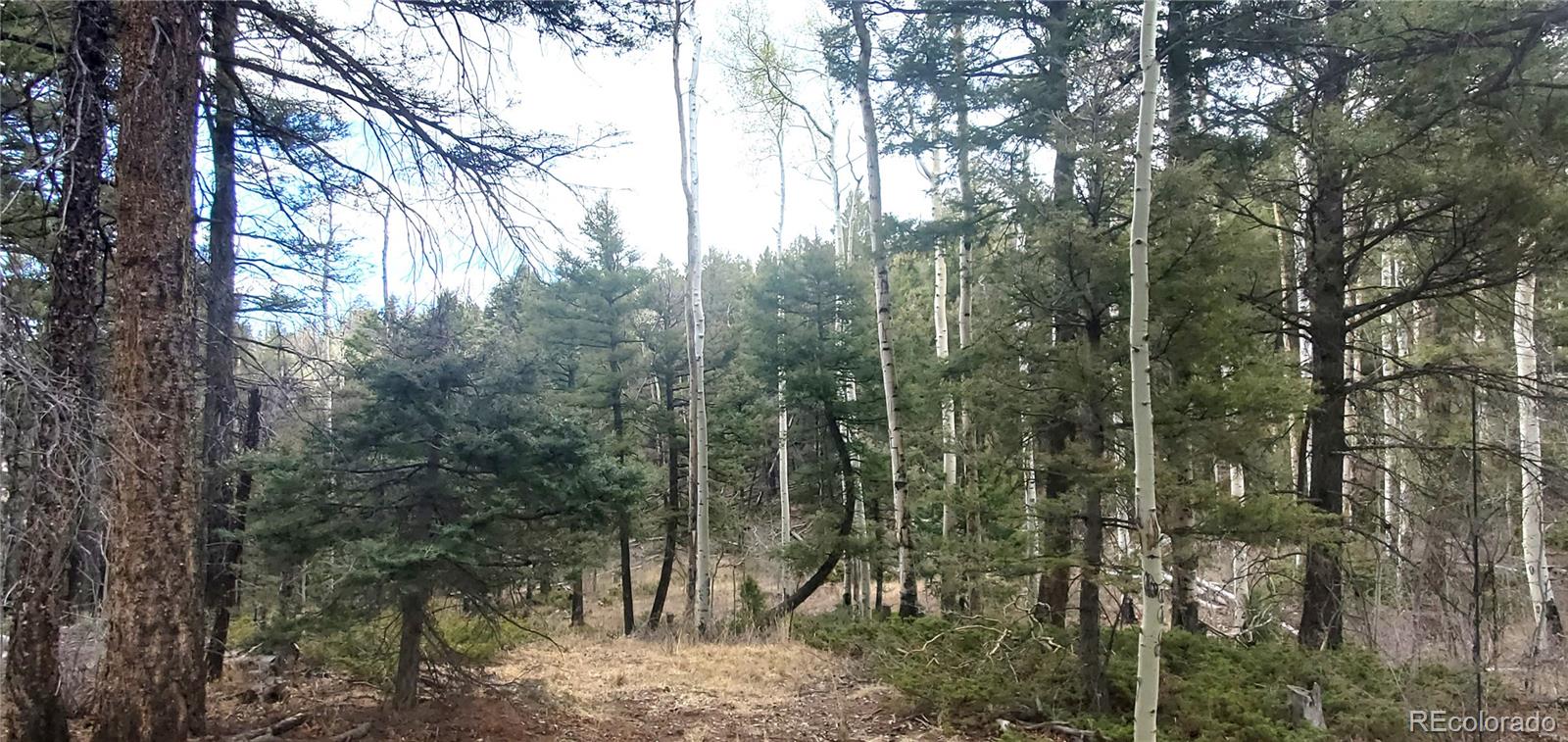 Lot 6090 Vreeland Road San Luis CO 81152
