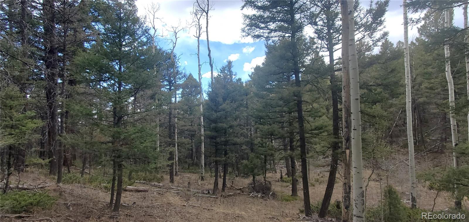 Lot 6090 Vreeland Road San Luis CO 81152