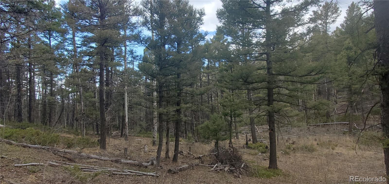 Lot 6090 Vreeland Road San Luis CO 81152